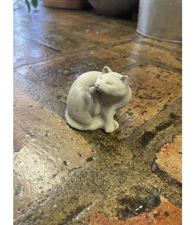 Concrete - Scratching Cat