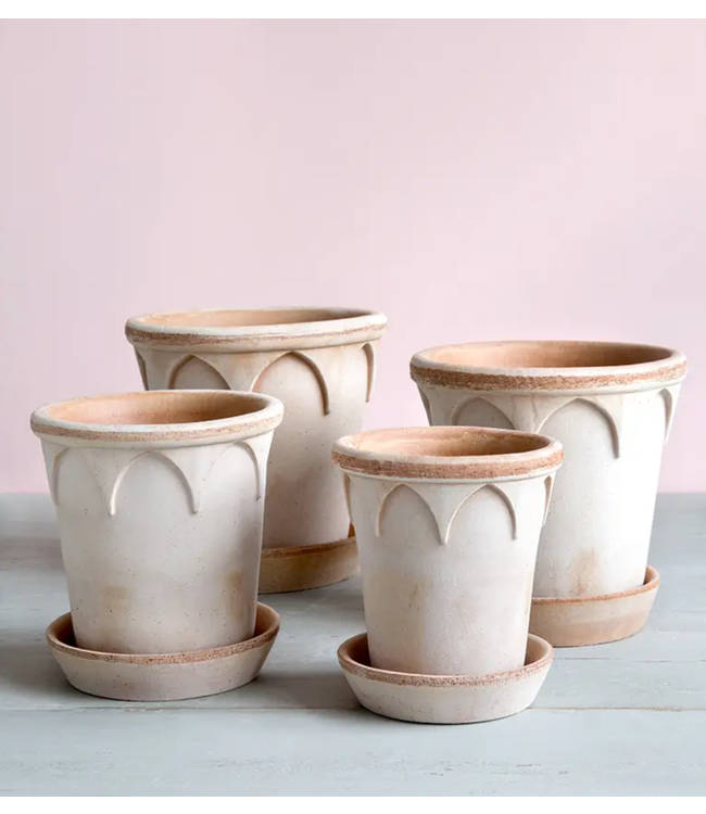 berg Berg Elizabeth RAW