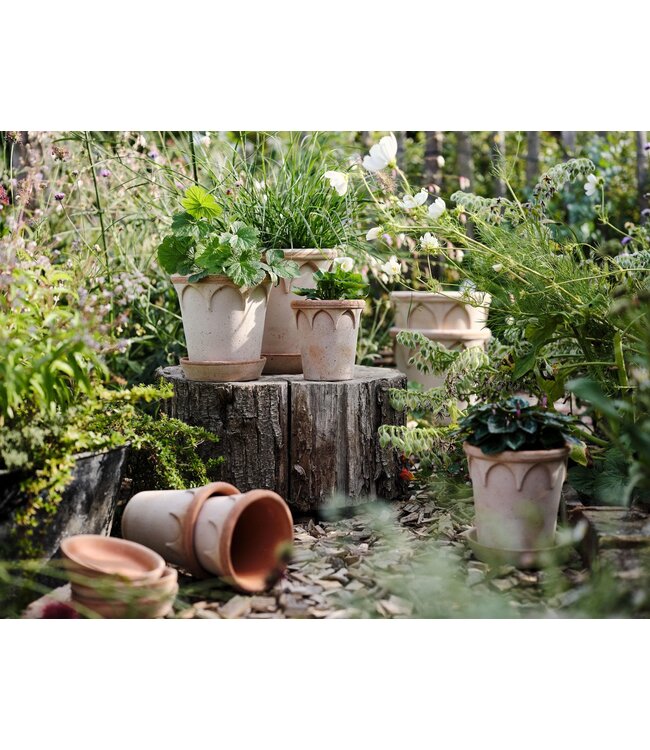 berg Berg Elizabeth RAW