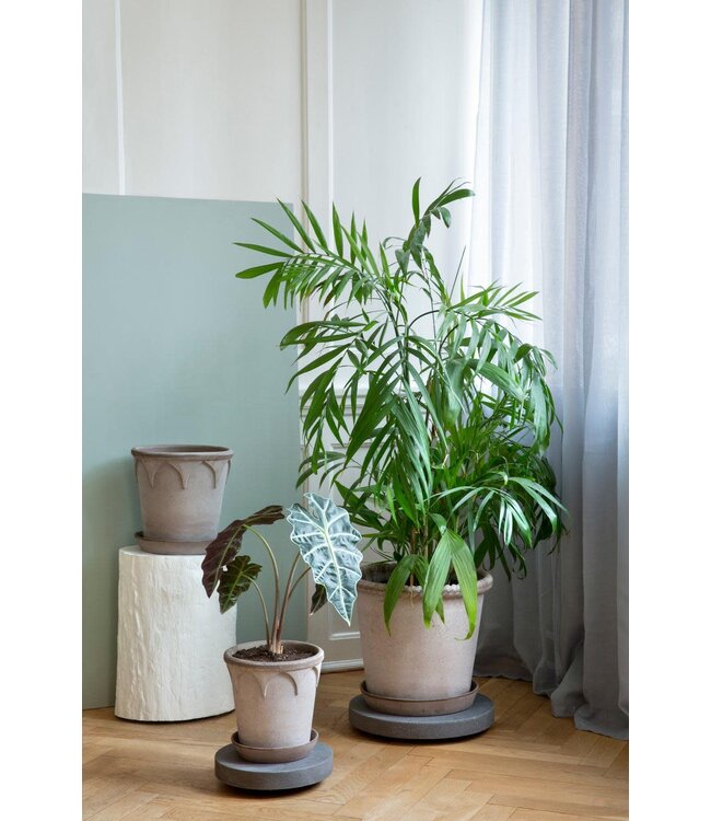 berg Berg Elizabeth RAW