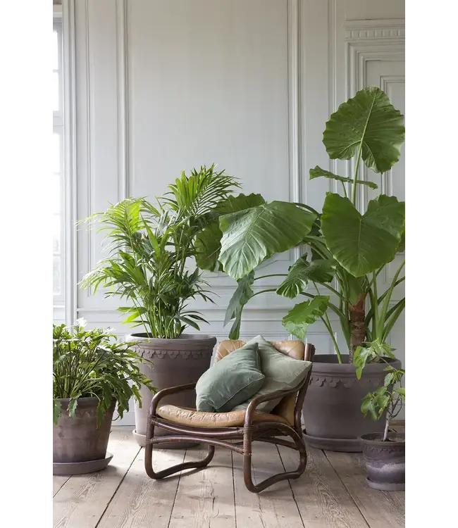 Berg Københavner Raw Grey 60cm, Pot