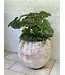 Tall Cercle Planter Large