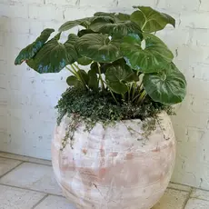 Tall Cercle Planter Small