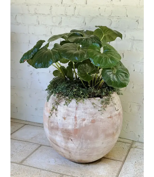 Tall Cercle Planter Small