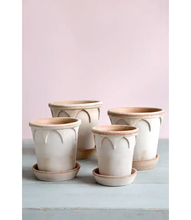 Berg Elizabeth RAW Rosa, Pot 18cm