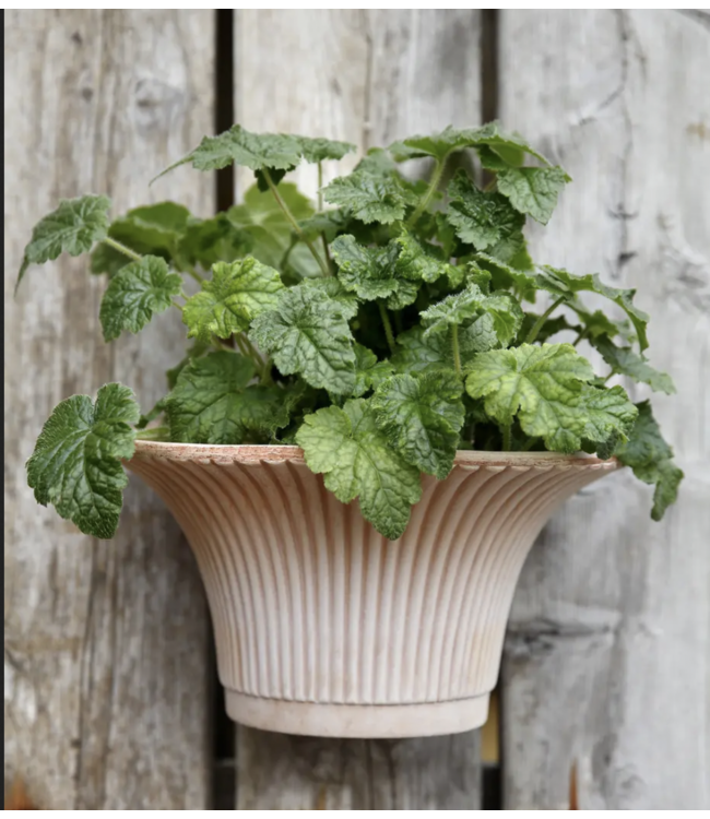 Daisy RAW Grey, Ø 30 cm, Wall Pot