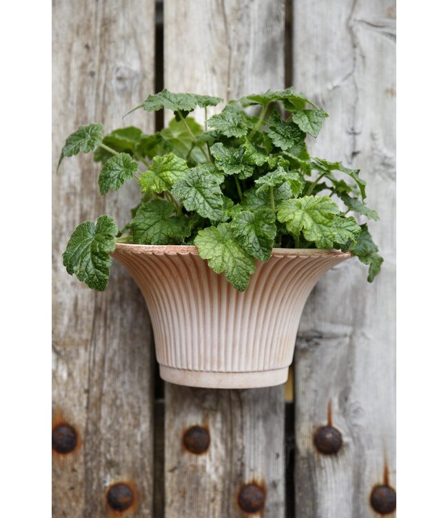 Daisy RAW Grey, Ø 30 cm, Wall Pot