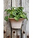 Daisy RAW Grey, Ø 30 cm, Wall Pot