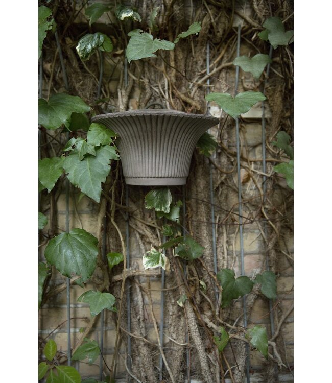 Daisy RAW Grey, Ø 30 cm, Wall Pot