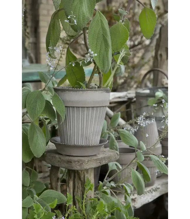 berg Berg Simona RAW