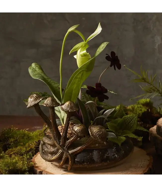 Lichen Planter 9"x 8"x 6.5"