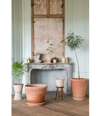 Berg Flora RAW Rosa 60 cm Pot