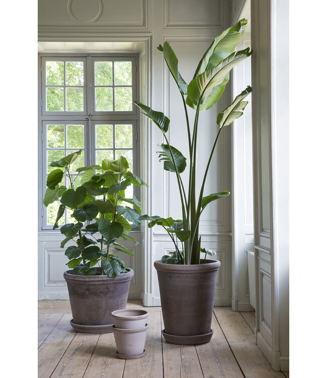 Berg Flora RAW Grey, Ø 70 cm, Pot container