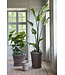 Berg Flora RAW Grey, Ø 70 cm, Pot container