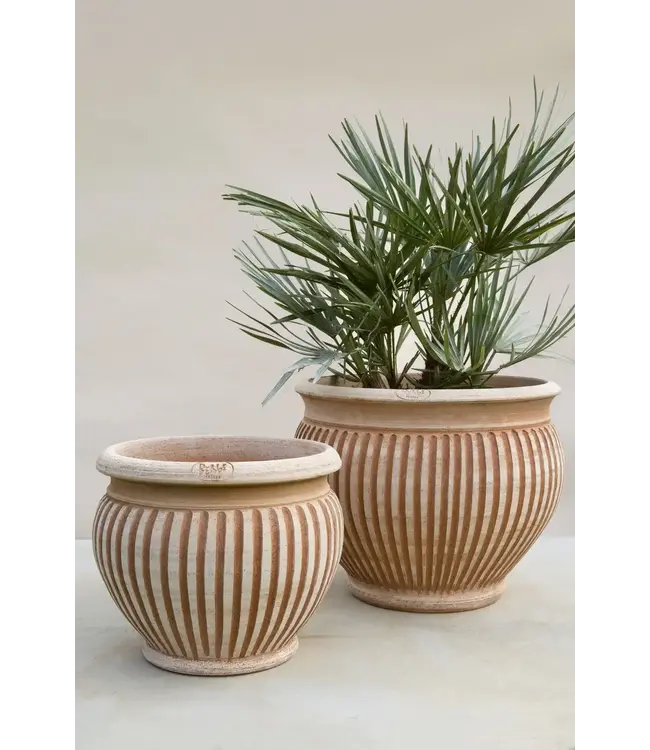 berg Piccolina RAW Pot