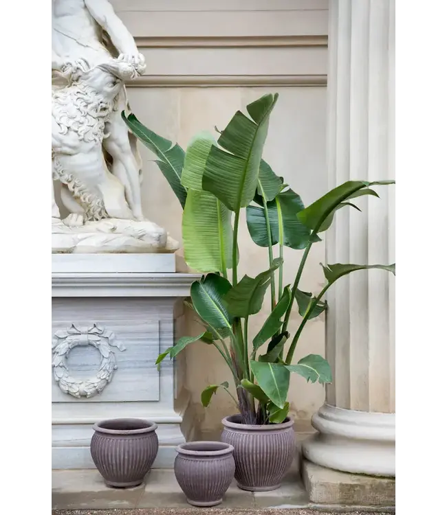 berg Piccolina RAW Pot