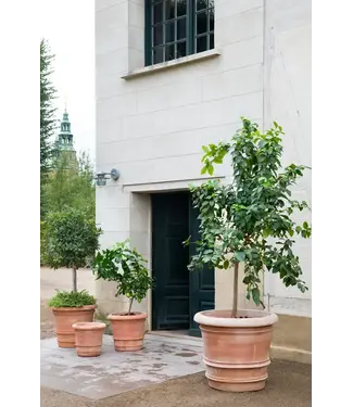 berg Lucca RAW Ø Pot