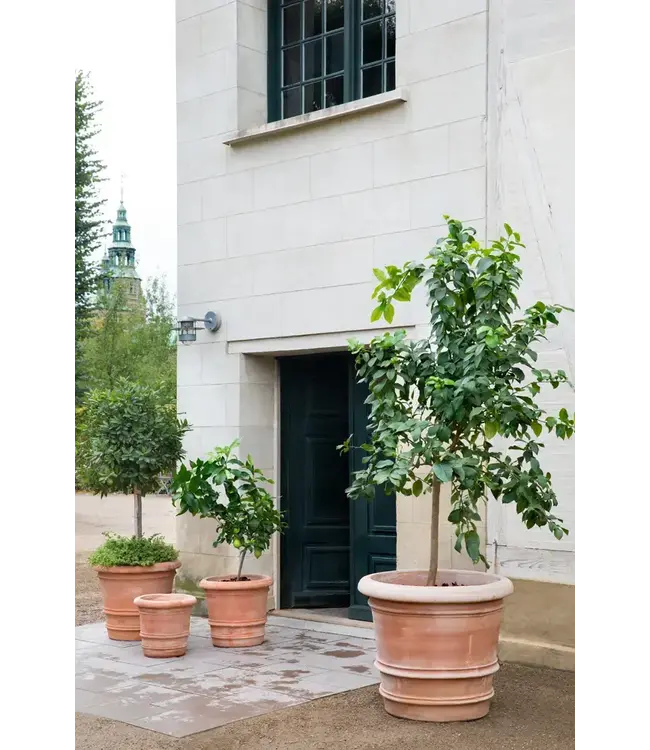 berg Lucca RAW Ø Pot