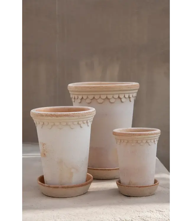 berg Københavner RAW Tall