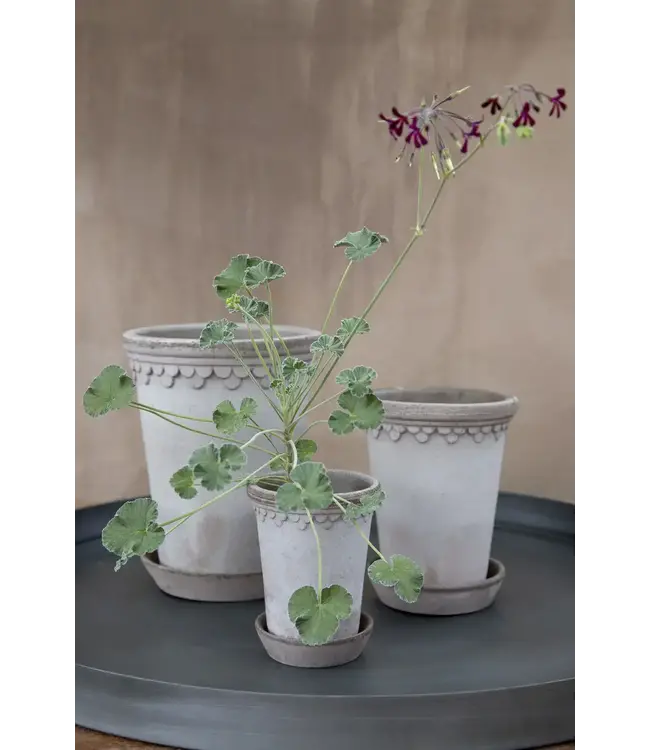 berg Københavner RAW Tall