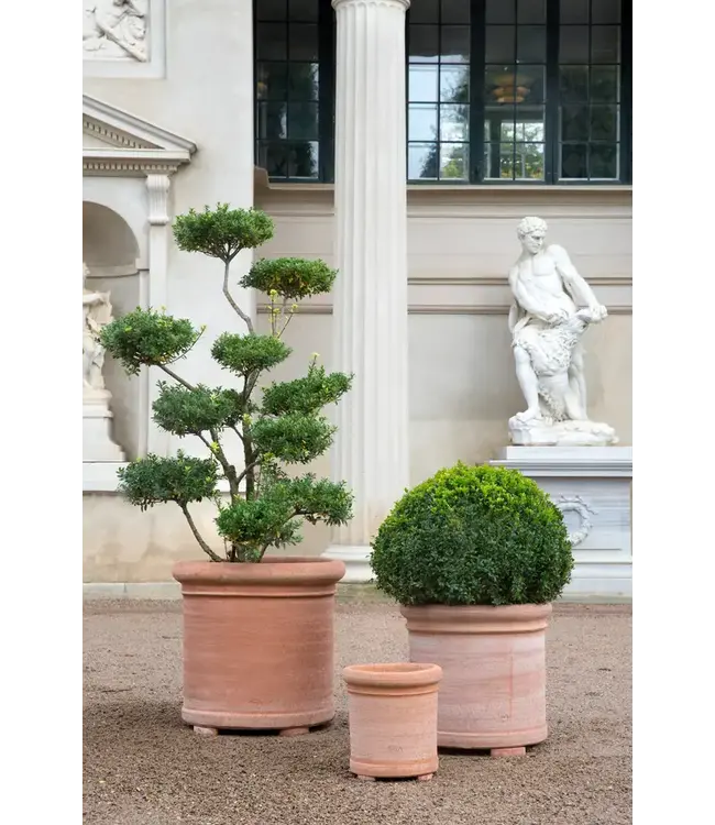 berg Berg Cilindro RAW