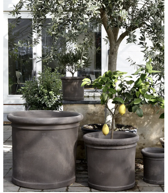 berg Berg Cilindro RAW