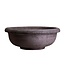 berg Berg Erbe RAW Bowl