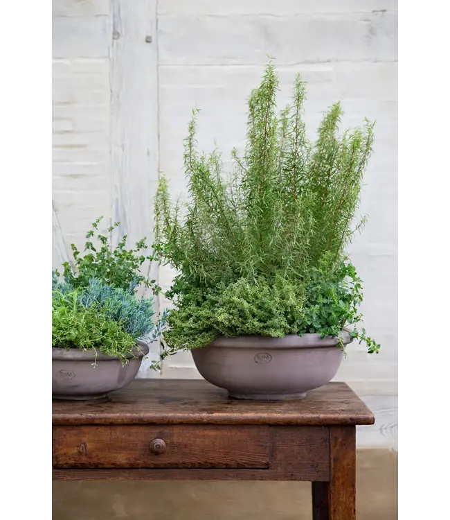 berg Berg Erbe RAW Bowl