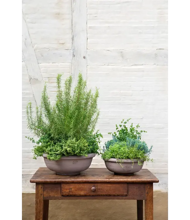 berg Berg Erbe RAW Bowl