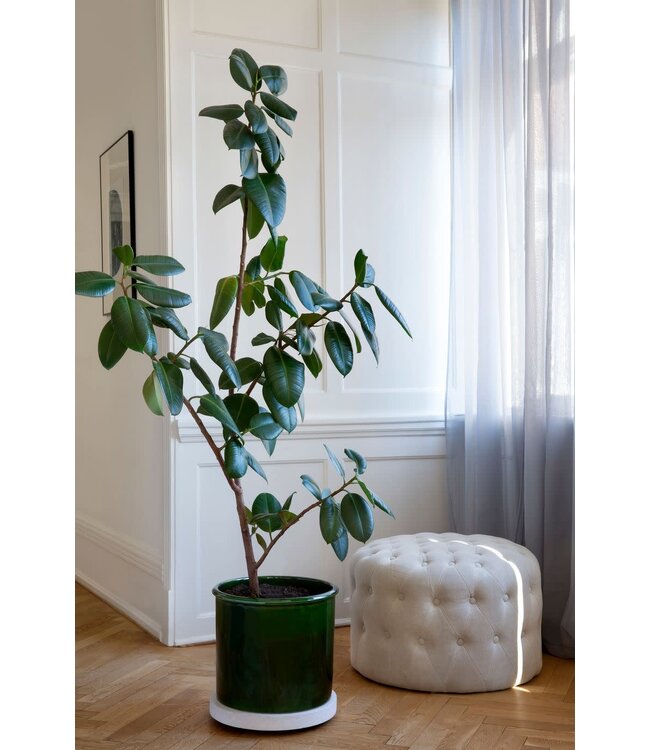 berg Berg Rolling Stone TERRAZZO Trolley