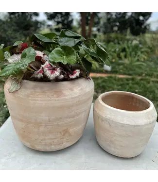 Anamese Garden + Home Cape Planter-Small