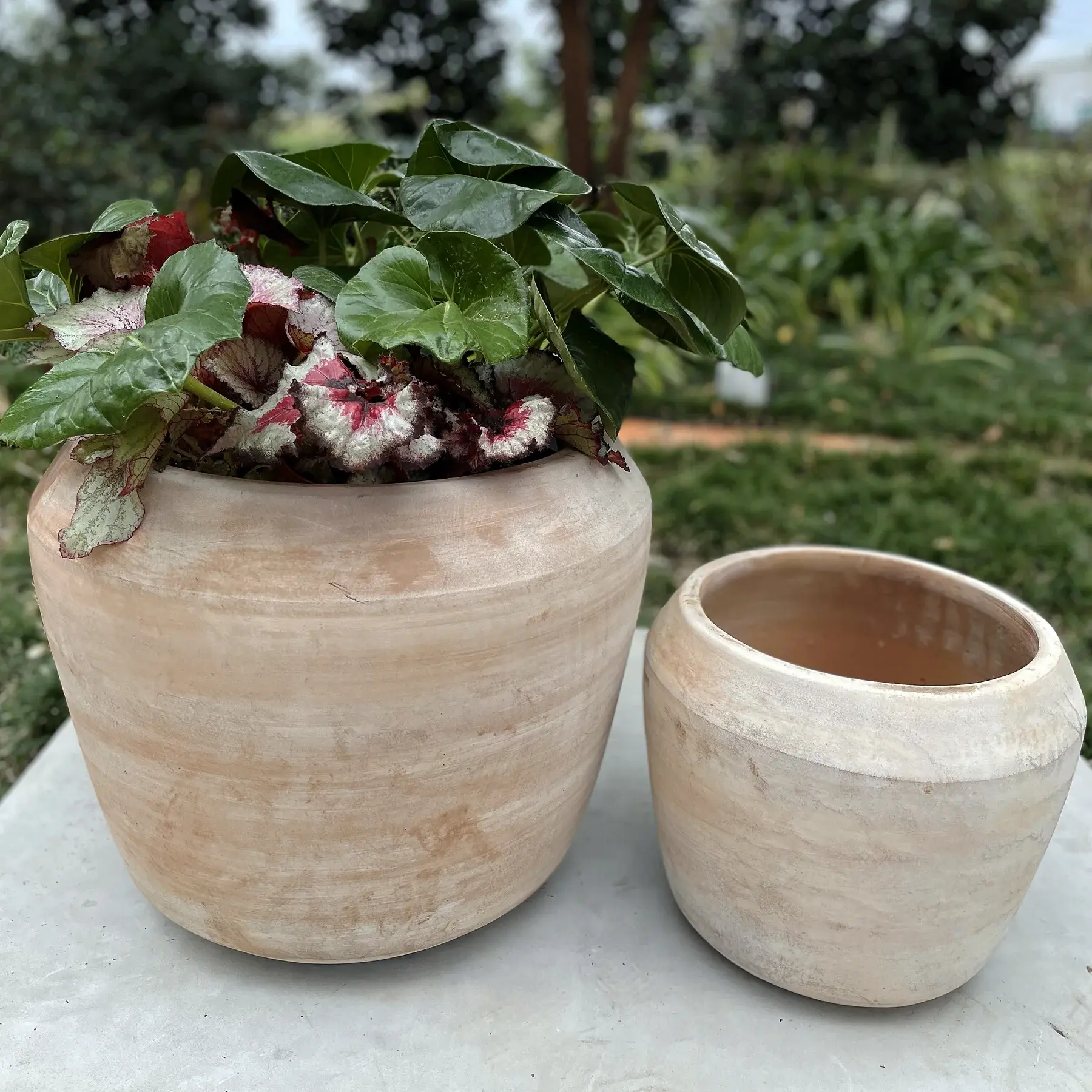 pot liners plants Planter Liner Material - HDPE Plastic Roll
