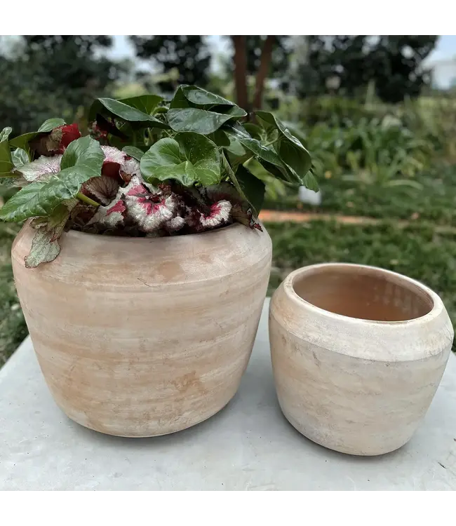 Anamese Garden + Home Cape Planter- Large