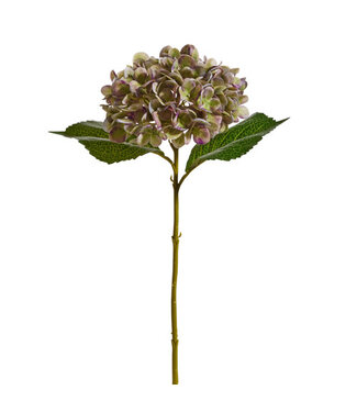 18" Green and Purple Hydrangea Stem
