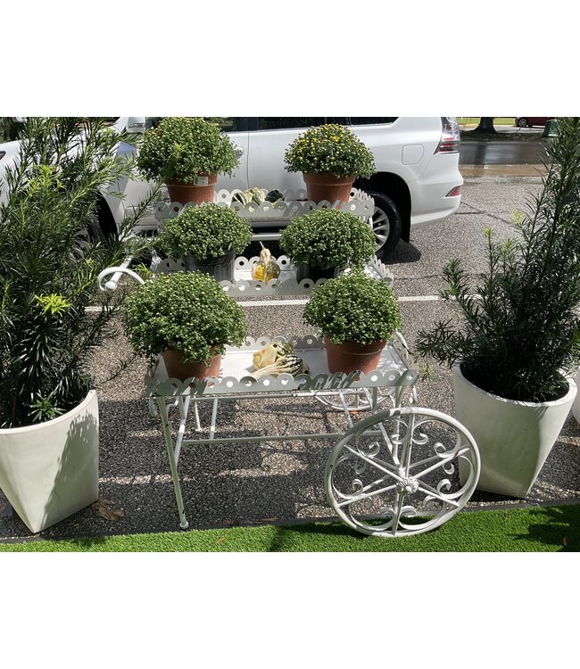 Tall Parisian-Inspired 3-Tier Staggered Flower Cart Black  "Avignon" 3.75ft