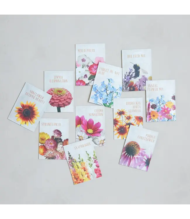 Bee Feed Mix Seeds