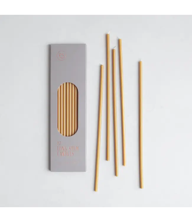 Long Stem Candle 13" (Box of 12) - Miel