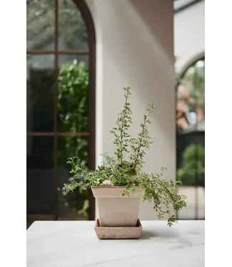 Berg Gaia RAW Rosa, Ø 30 cm