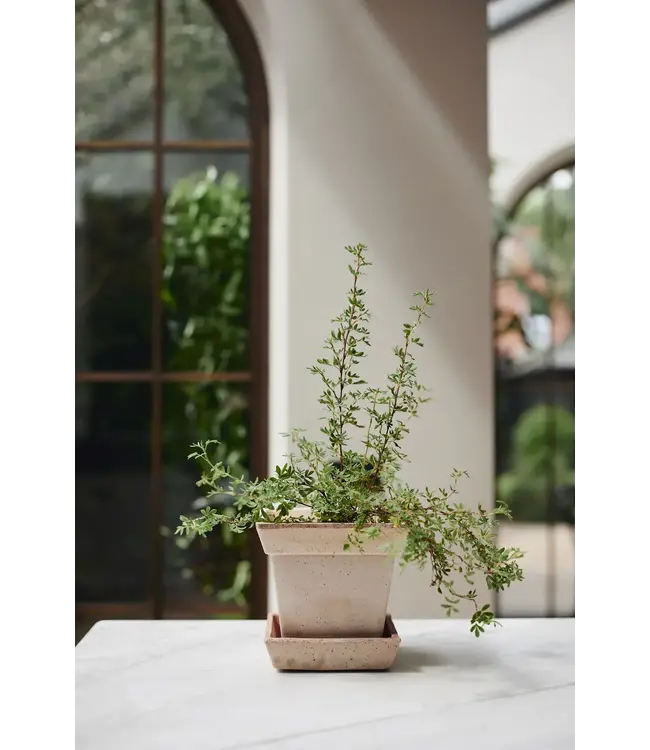 Berg Gaia RAW Rosa, Ø 30 cm