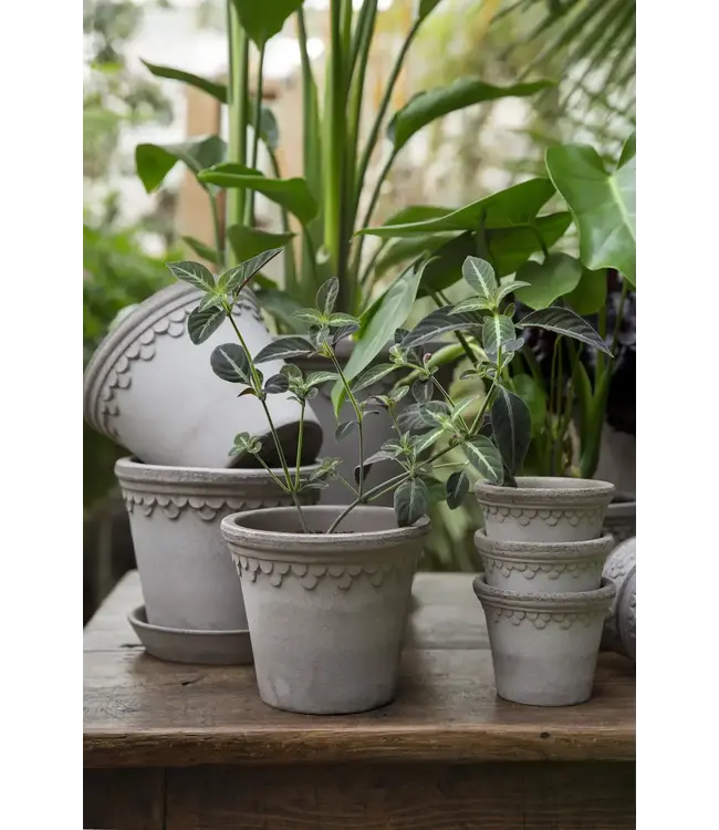 Københavner RAW Grey, Ø 21 cm