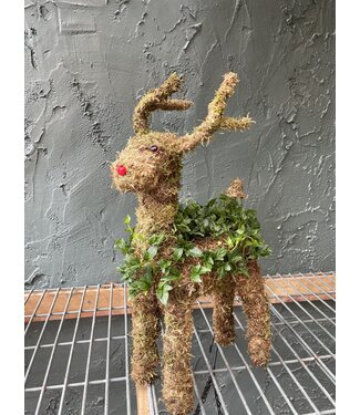Standing Ivy Reindeer Med
