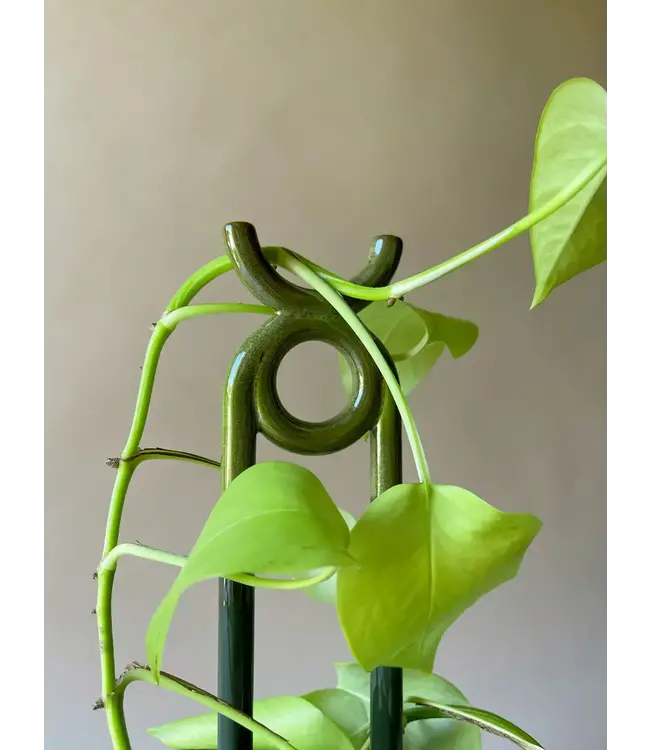 Folk: Oni GLAZED, Plant stake