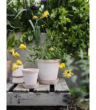 Berg Helena RAW Rosa Tall Set 14cm