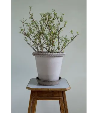 Berg Emilia RAW Grey Set 18cm (7.1"H)
