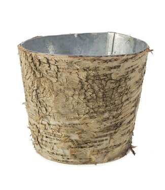 Birch Pot with Zinc 5.5"x 5"