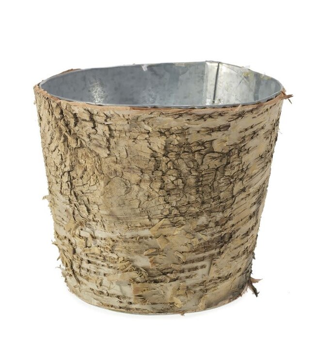 Birch Pot with Zinc 5.5"x 5"