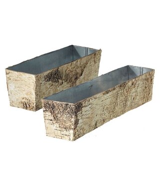 Birch Planter w/Zinc 18"x 4"x 4"