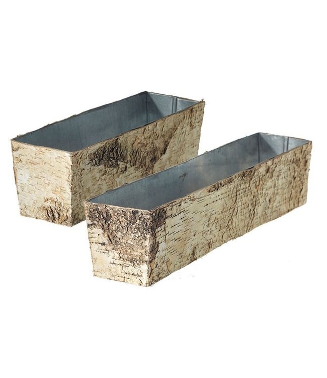 Birch Planter w/Zinc 12"x 4"x 4"