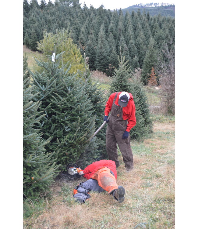 Select Grade Fraser Fir Christmas Tree 9'-10'