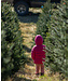Select Grade Fraser Fir Christmas Tree 9'-10'